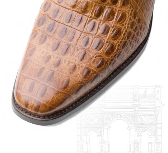 Elegant Shoes For Men